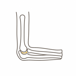 Anatomisches Icon Ellenbogen