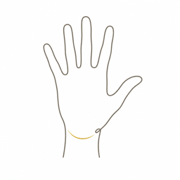 Anatomisches Icon Hand