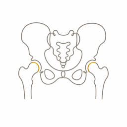 Anatomisches Icon Hüfte